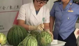 娱乐圈吃瓜群众直播视频,吃瓜群众视角下的明星幕后生活